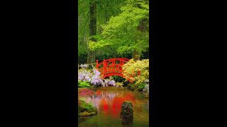 Kleine Brücke im japanischen Garten, Park Clingendael, Den Haag, Niederlande im Regen