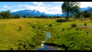 Bach plätschert, grüne Wiesen, Torres del Paine Nationalpark, Patagonien, Chile