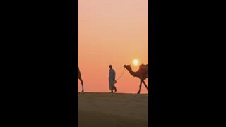 Indische Kamele (Kameltreiber) Beduinen mit Kamelsilhouetten in Sanddünen der Wüste Thar bei Sonnenuntergang. Karawane in Rajasthan Reise Tourismus Hintergrund Safari Abenteuer. Jaisalmer, Rajasthan, Indien