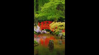 Kleine Brücke im japanischen Garten, Park Clingendael, Den Haag, Niederlande im Regen
