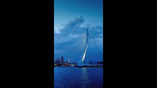Die Erasmusbrücke (Erasmusbrug) und die nächtlich beleuchtete Skyline von Rotterdam. Rotterdam, Niederlande