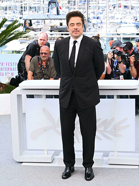 Cannes, 78th Cannes Film Festival 2025 - day 7 - photocall of the film "The Phoenician Scheme"