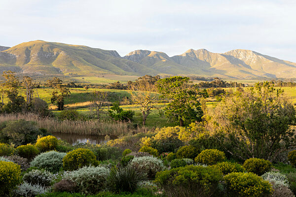 Klein Mountains,South Africa,View across a tranquil landscape, river valley and a mountain range