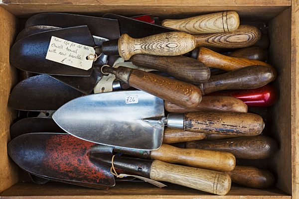 Overhead view of a collection of handheld garden forks, with metal tines and smooth wooden handles.