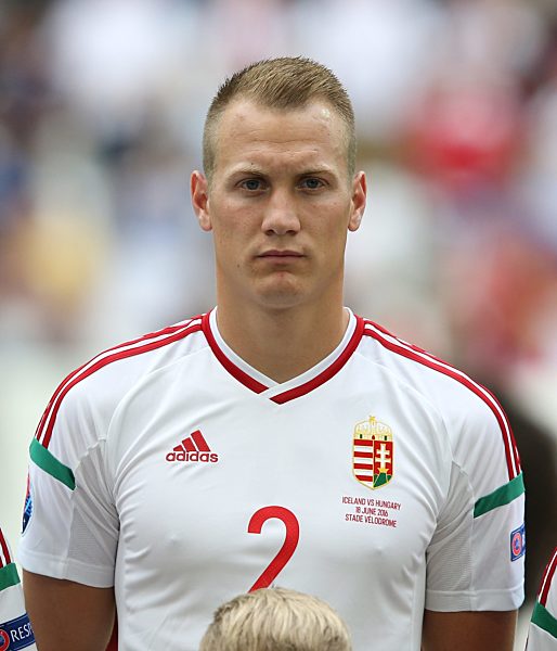 Marseille, firo, Fußball, EM 2016, UEFA EURO 2016,  Nationalmannschaft,
18.06.2016, ISL, Island - HUN, Ungarn