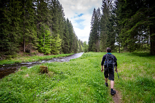 Hiking in the Bavarian Forest National Park
