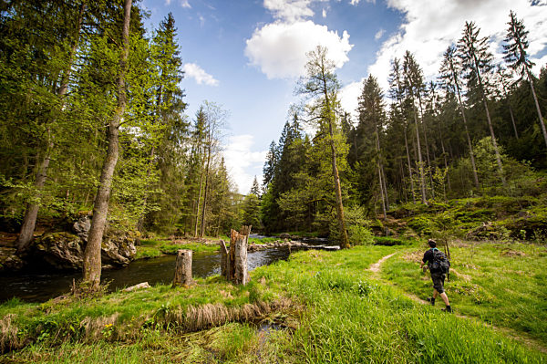 Hiking in the Bavarian Forest National Park