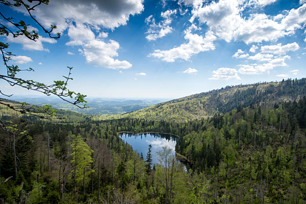 Hiking in the Bavarian Forest National Park