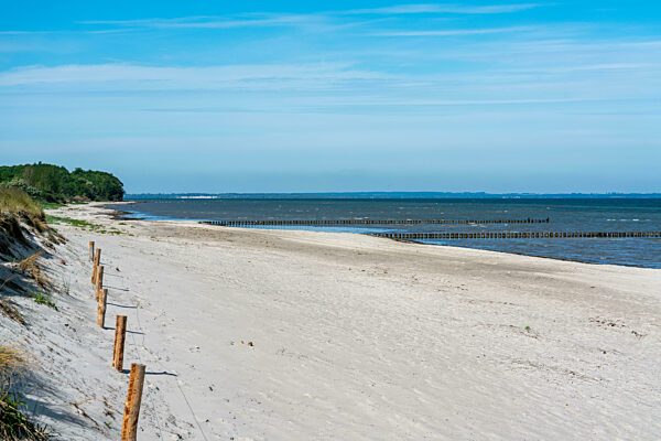 Dune landscape and beach on a bright summer day on the island Poel in Germany