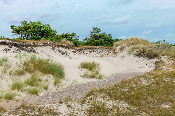 Deutsche Ostseeküste mit Sanddünen, Gras, Wasser und blauem Himmel