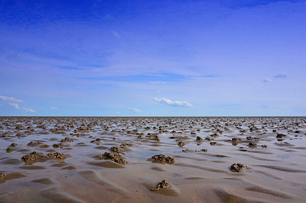 Boden im Wattenmeer bei Ebbe in der Nordsee mit Spuren von Wattwürmern und blauem Himmel