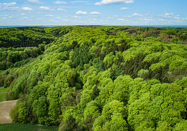 Schöne Landschaften aus der Luft, Waldgebiete am Stemwederberg in der Nähe des Dümmers. Symbolfoto.