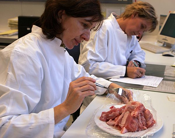 Fleischskandal in Lastrup: Untersuchung von Proben