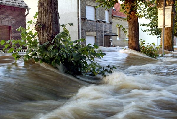 Hochwasser: Wittenberger Stadtteil Pratau ist evakuiert