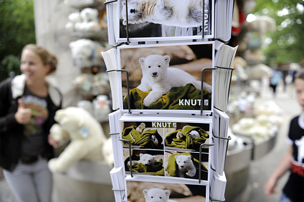 Verschiedene Produkte rund um das Thema Eisbär Knut werden am Mittwoch (08...