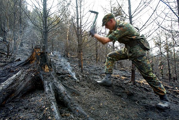 Rund 7 Hektar Kiefern-Mischwald sind im Harz verbrannt
