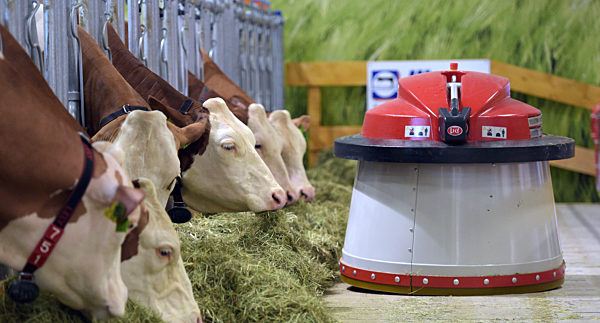 Beginn der Internationalen Grünen Woche