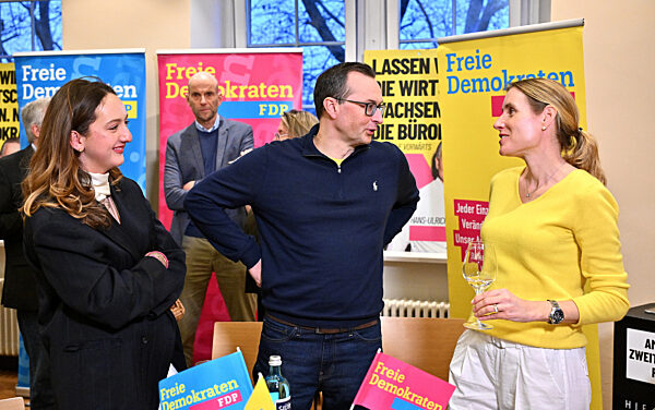 Landtagswahl in Baden-Württemberg - FDP