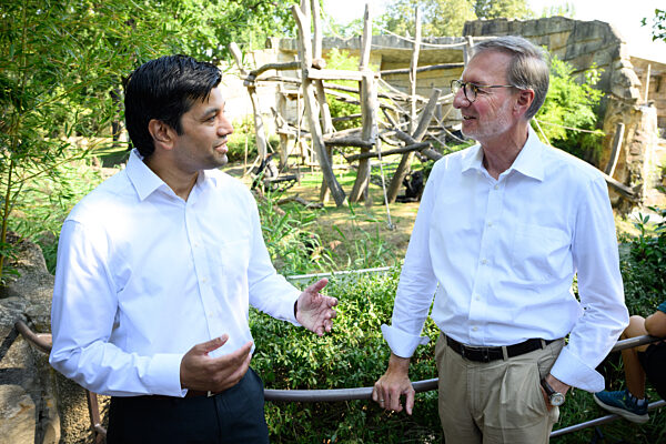 «Gorilla Tracker» im Berliner Zoo