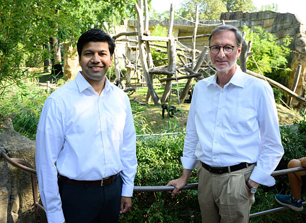 «Gorilla Tracker» im Berliner Zoo