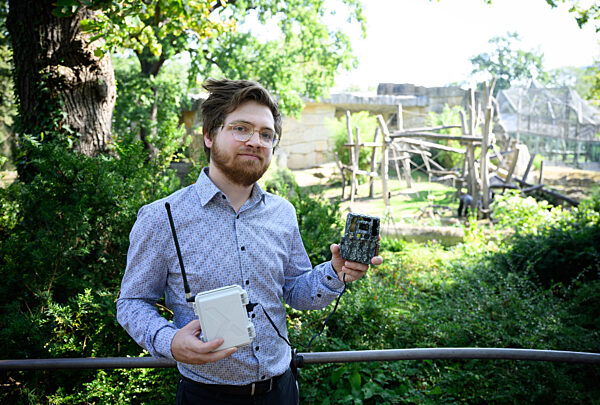 «Gorilla Tracker» im Berliner Zoo