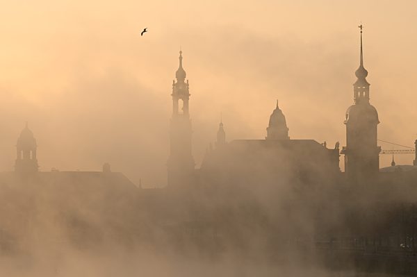 Nebel in Dresden