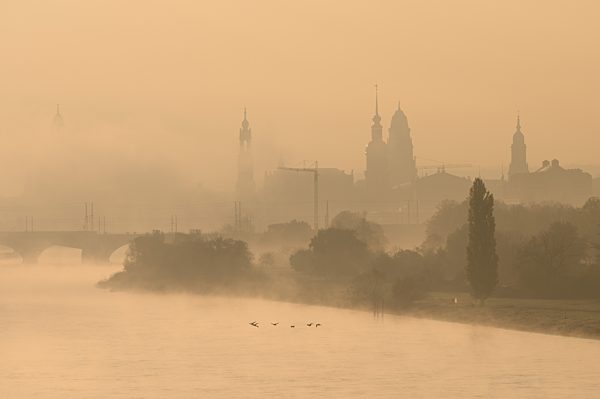 Nebel in Dresden
