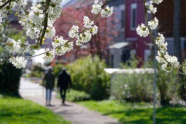 Fruehlings-Spaziergang