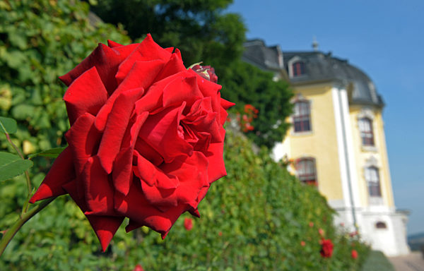 Spätsommer an den Dornburger Schlössern
