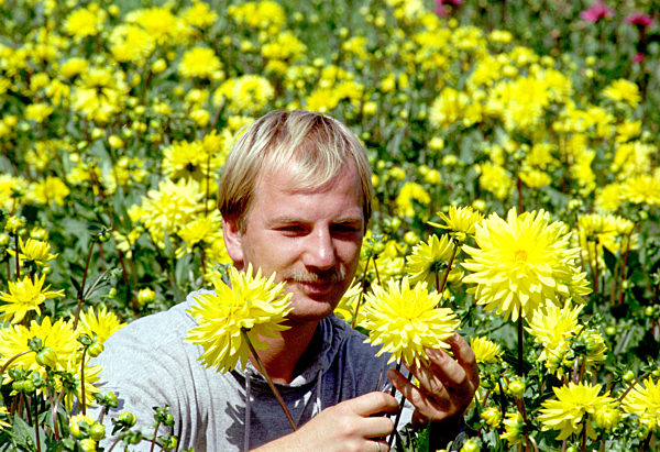 Dahlien-Zeit (Archivfoto und Text 1996)
