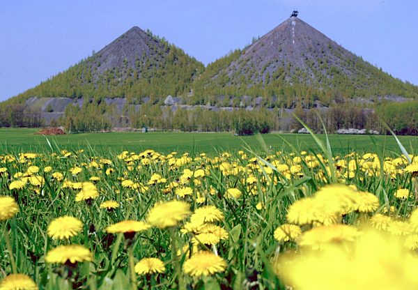 Frühling in Ex-Wismutregion
