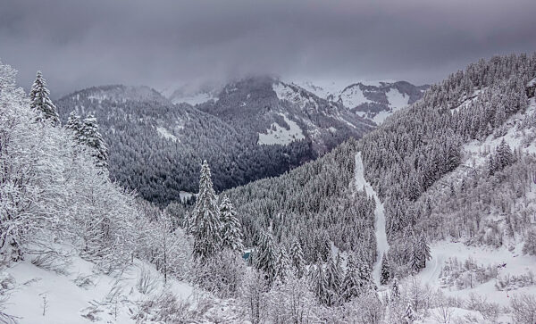 Winterlandschaft nahe Linga, Chatel, Wintersportgebiet Portes du Soleil, Haute-Savoie, Frankreich