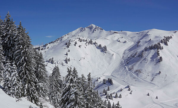Skipisten, hinten die Gipfel Pointe de Nyon und Chamossiere, Wintersportgebiet Portes du Soleil, Haute-Savoie, Frankreich