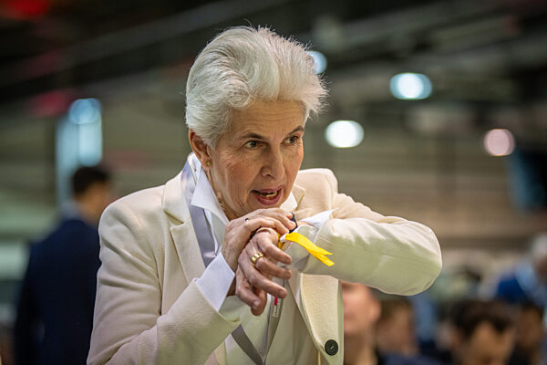 Europaparteitag der FDP