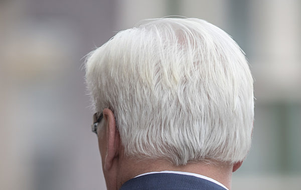 Deutsch-Palästinensischer Lenkungsausschuss