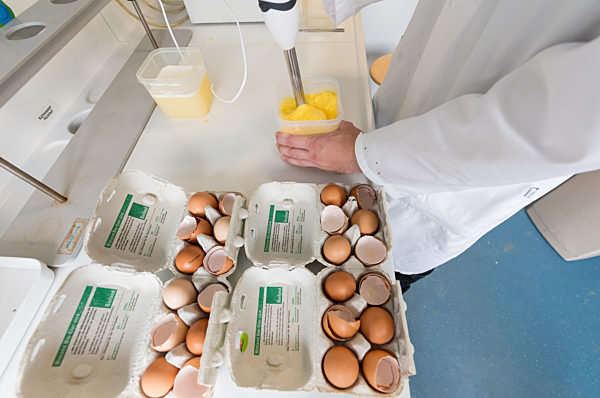 Veterinäramt untersucht Eier auf Rückstände