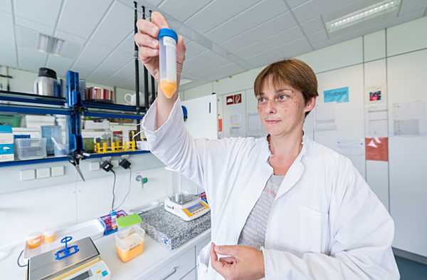 Veterinäramt untersucht Eier auf Rückstände