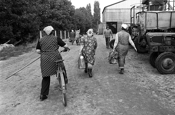 Arbeiterinnen auf dem Betriebsgelände der LPG (Landwirtschaftliche...