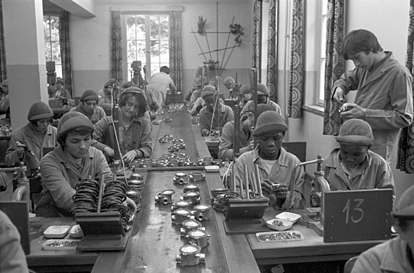 DDR -  Pionierrepublik Wilhelm Pieck 1977