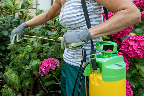 Fighting pests in the garden