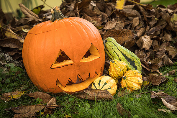 Halloween-Kuerbis