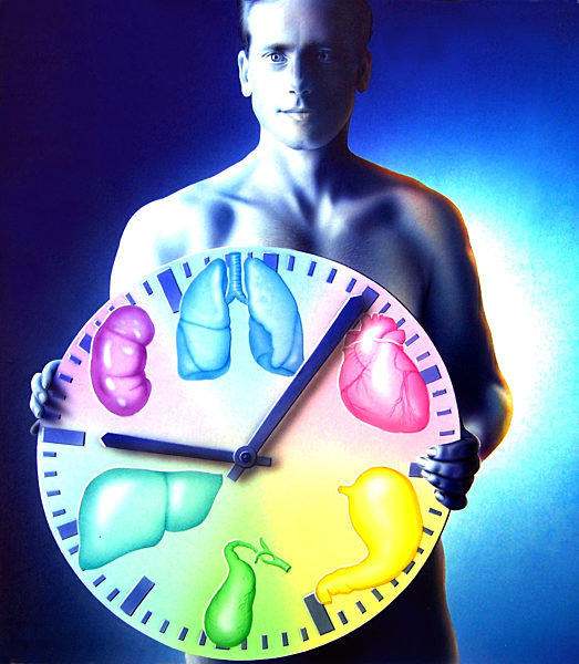 Organuhr - größere Auflösung