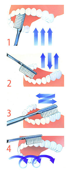 Zahnpflege Übersicht