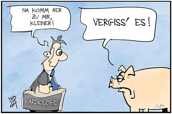 Ein Schweineherz wird einem Menschen transplantiert