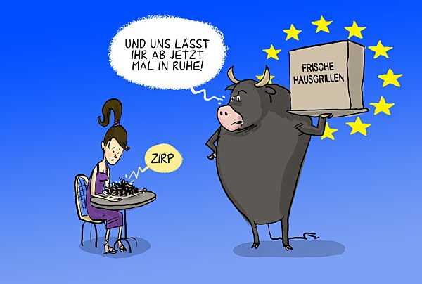 Hausgrille als Lebensmittel