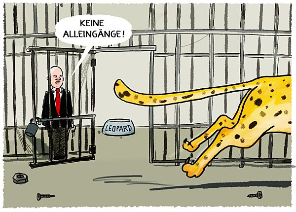 Deutscher Leopard ist befreit