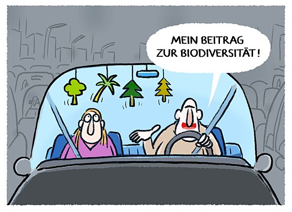 Auto: Innenraumduftbaeume