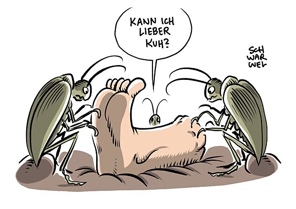 Ernaehrungssoziologe : Aufregung um Insekten im Essen unverstaendlich