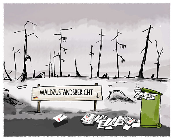 Deutsche Waldzustandserhebung