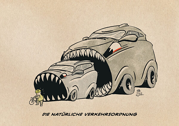 Die natuerliche Verkehrsordnung